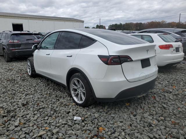 2023 TESLA MODEL Y #3296308426