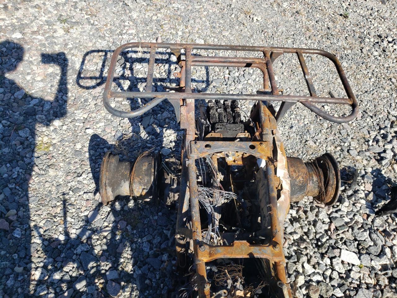 Lot #3281419987 1988 YAMAHA 350 TERRA PRO