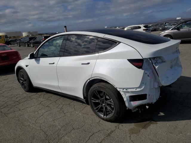 2024 TESLA MODEL Y #3302835912