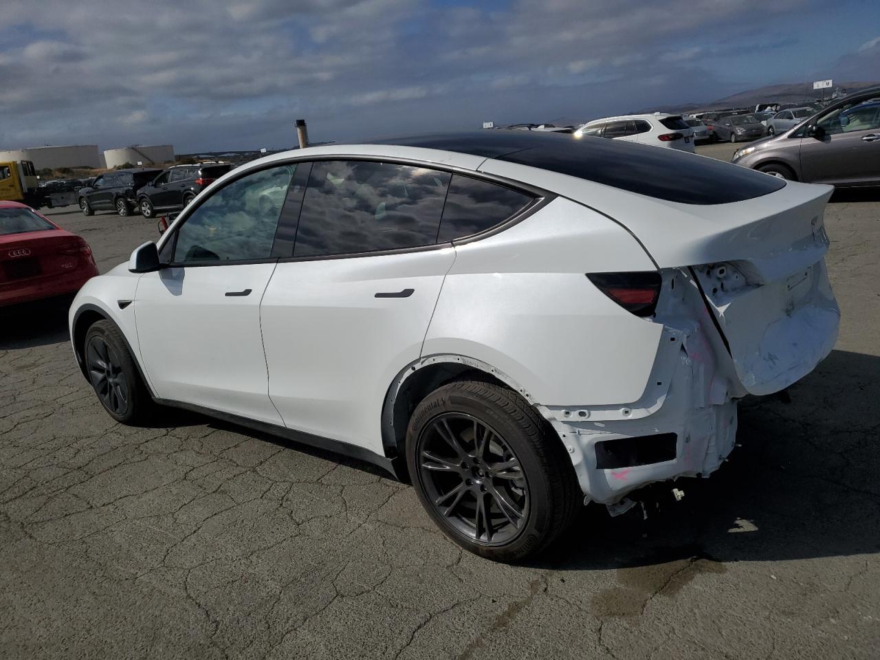 Lot #3302835912 2024 TESLA MODEL Y