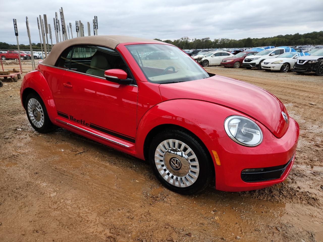 VOLKSWAGEN BEETLE