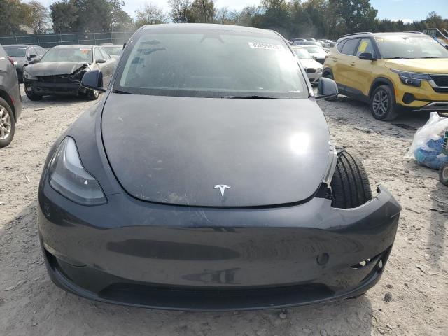 2025 TESLA MODEL Y #3301808336