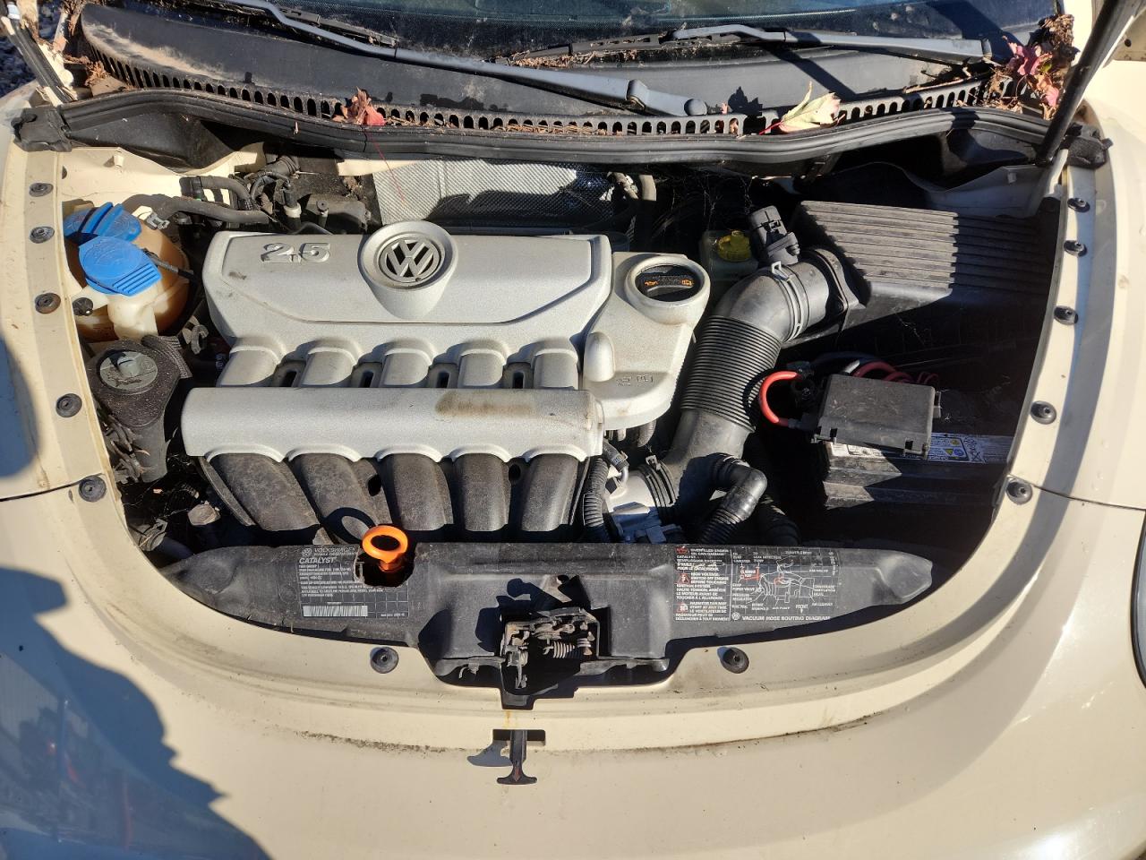 Lot #3284924951 2007 VOLKSWAGEN NEW BEETLE