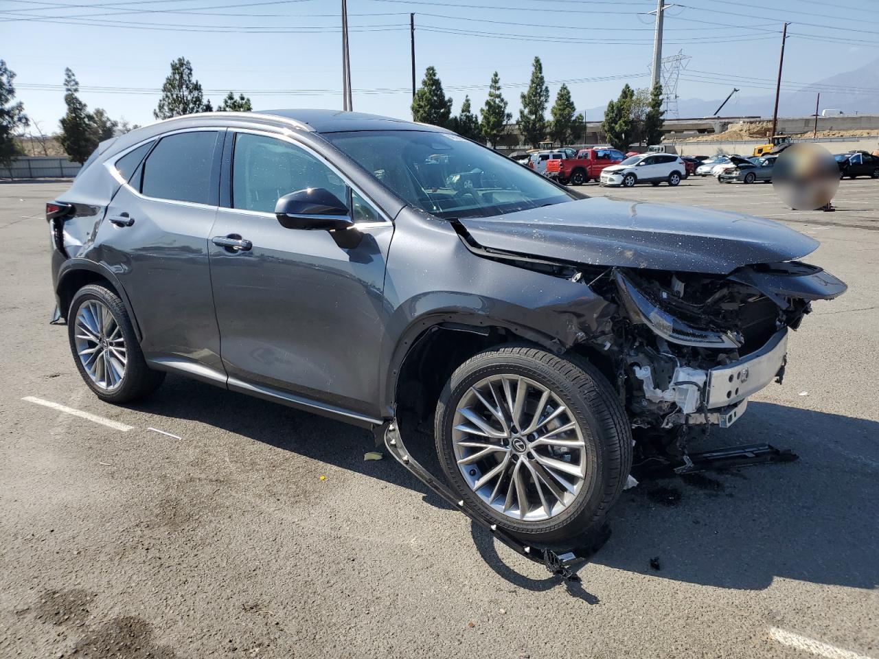 LEXUS NX 350H BASE