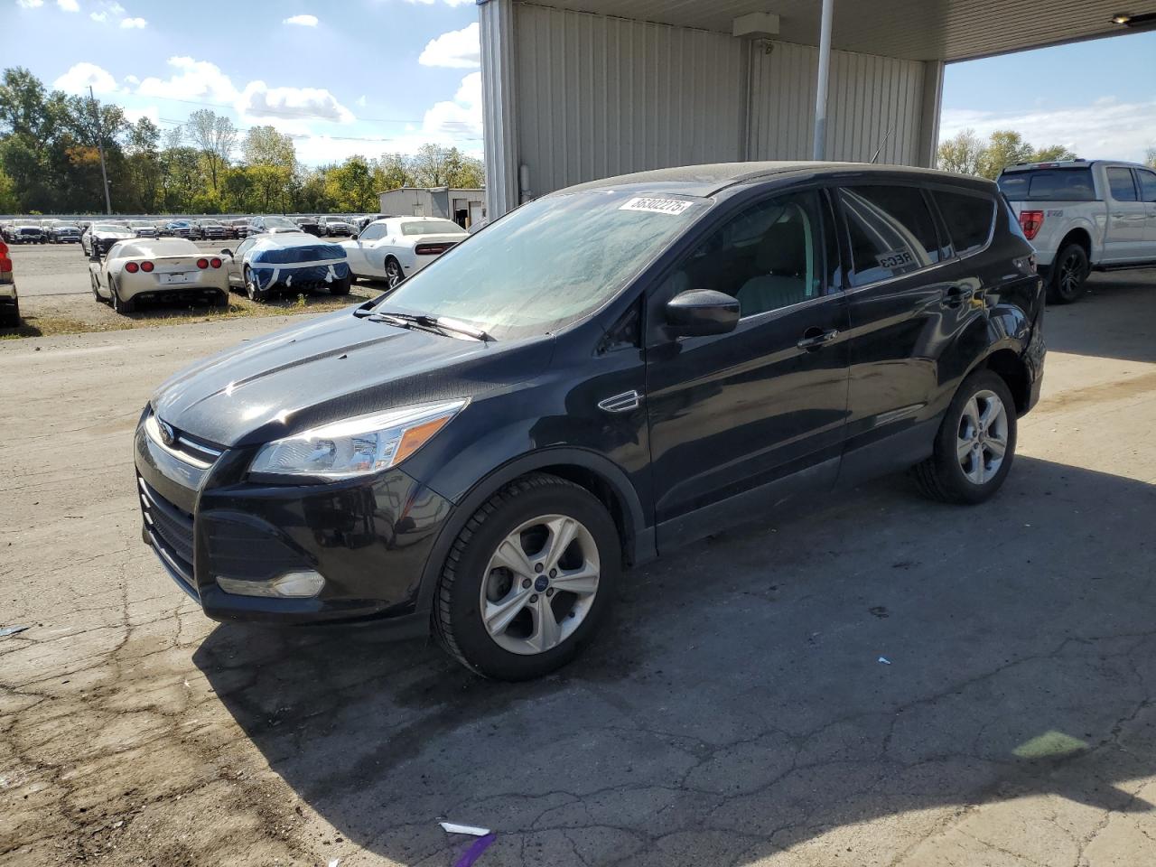 Lot #3266967503 2014 FORD ESCAPE SE