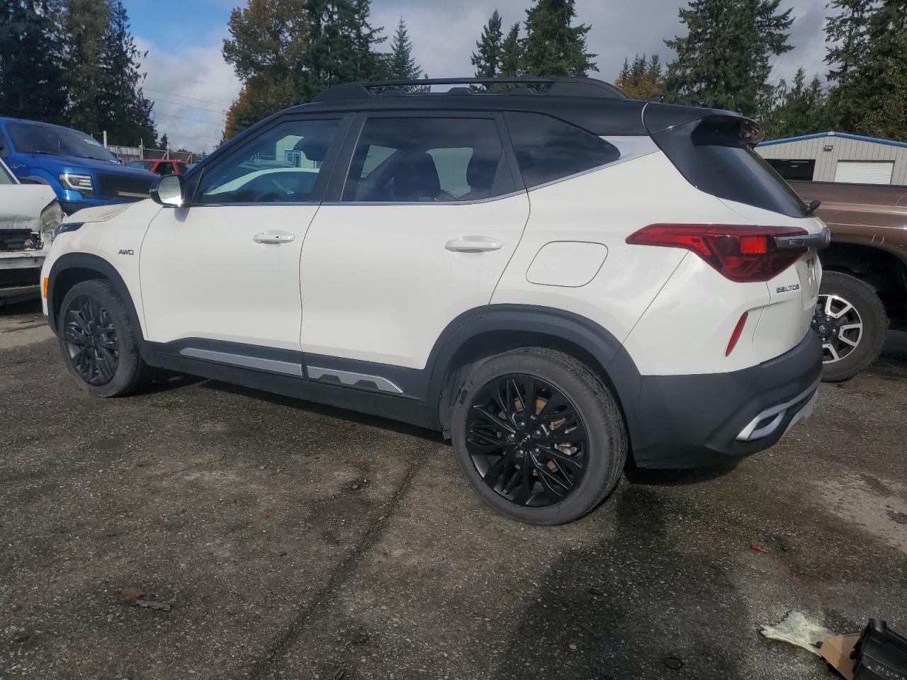 KIA SELTOS NIGHTFALL