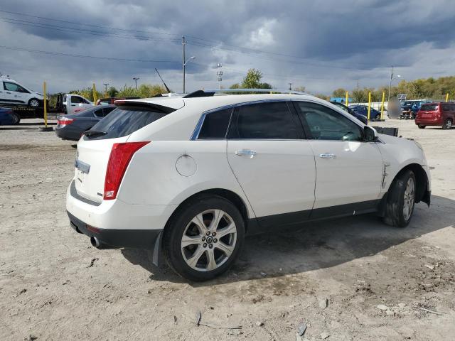 2011 CADILLAC SRX PERFOR - 3GYFNBEY6BS619049