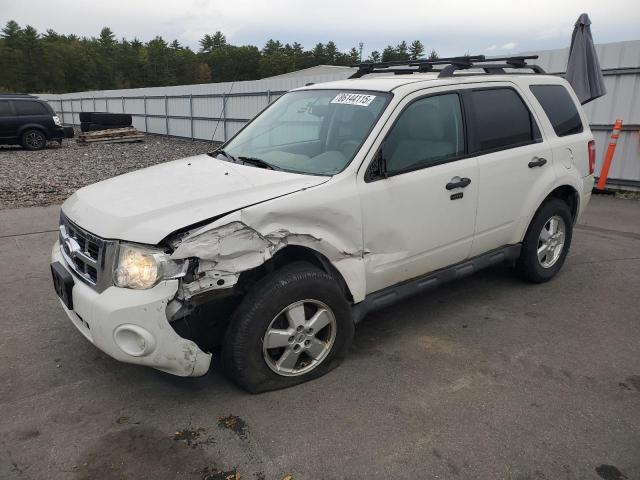 Global Auto Auctions: 2012 FORD ESCAPE XLT