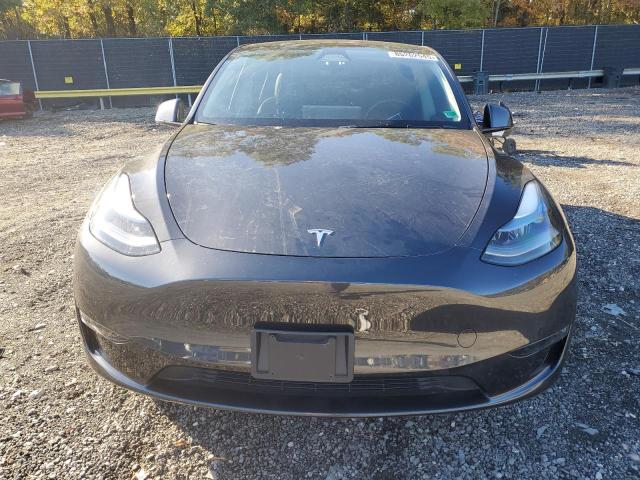 2024 TESLA MODEL Y 7SAYGDED5RF008081