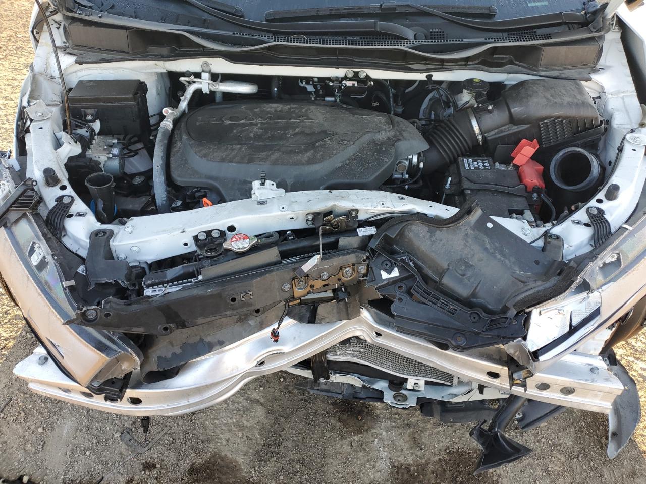 Lot #3290372787 2024 HONDA ODYSSEY EX