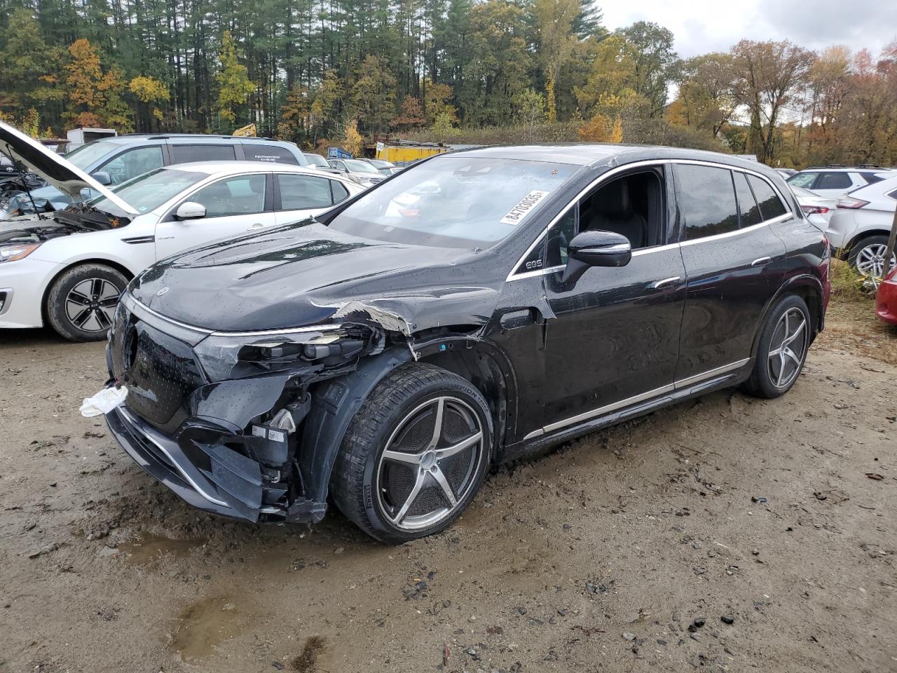 Lot #3269786683 2023 MERCEDES-BENZ EQS SUV 58