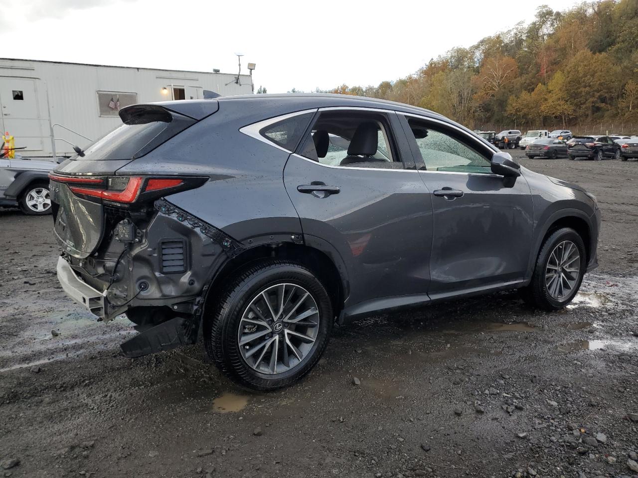 LEXUS NX 350 PREMIUM