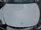 Lot #3296308426 2023 TESLA MODEL Y