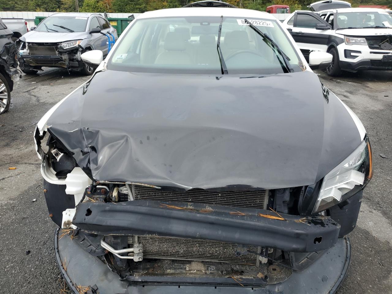 Lot #3265889223 2014 VOLKSWAGEN PASSAT SE