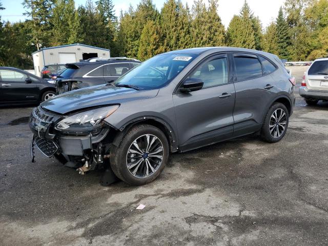 Global Auto Auctions: 2021 FORD ESCAPE SE