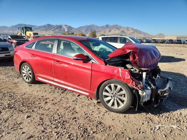 2017 HYUNDAI SONATA SPO - 5NPE34AF4HH561839