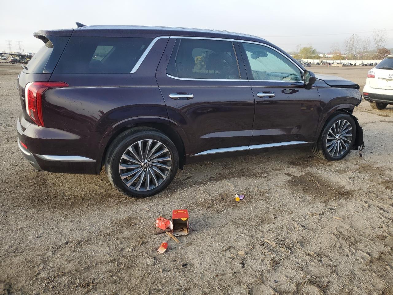 HYUNDAI PALISADE CALLIGRAPHY