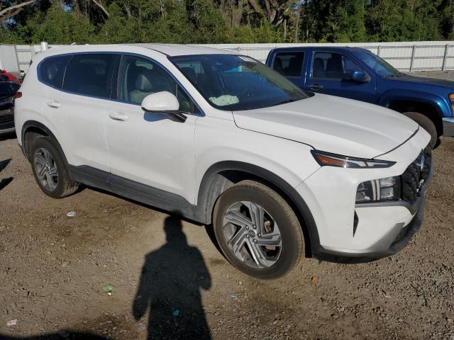 2023 HYUNDAI SANTA FE S #3297056537