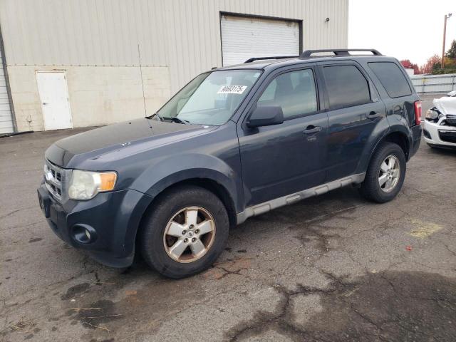 2009 FORD ESCAPE XLT #3301964464