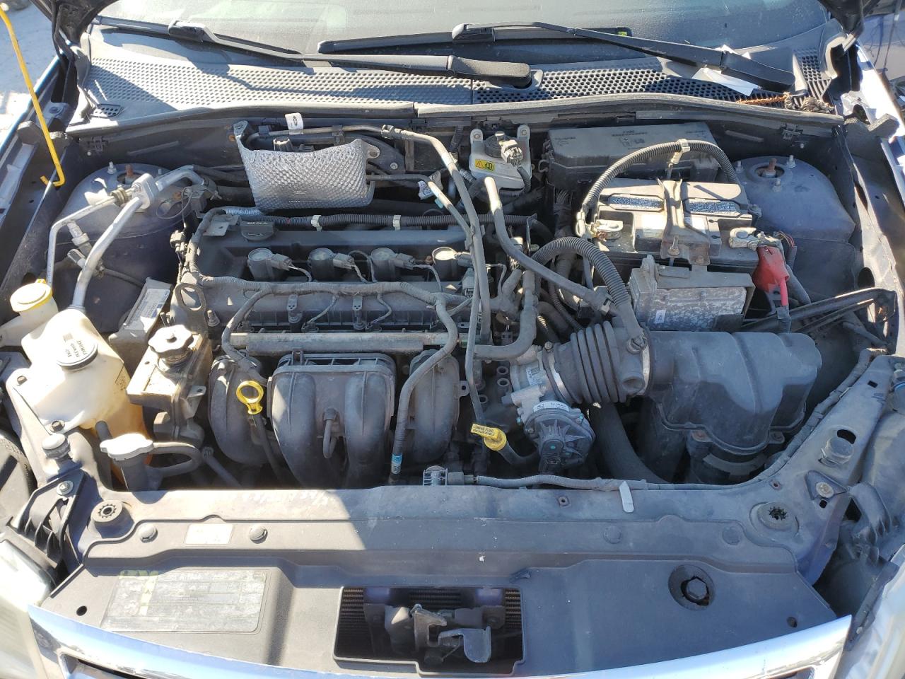 Lot #3270846436 2009 FORD FOCUS SES