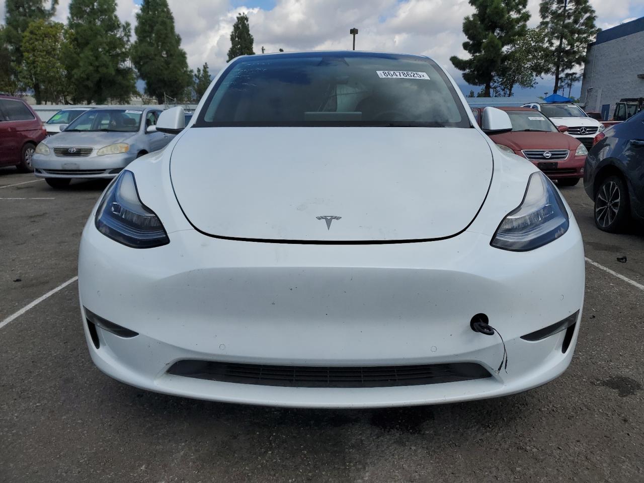 Lot #3308600502 2022 TESLA MODEL Y