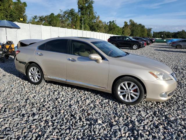 2010 LEXUS ES 350 - JTHBK1EGXA2362016