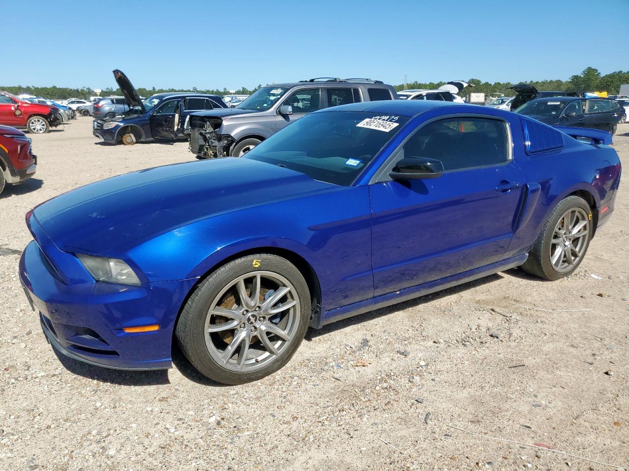 Lot #3291478987 2013 FORD MUSTANG