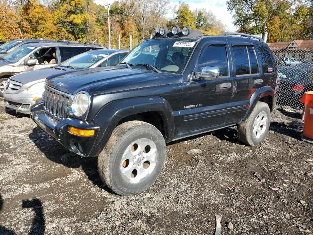 JEEP LIBERTY LI