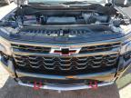 Lot #3304726905 2025 CHEVROLET SILVERADO