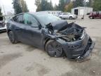 Lot #3316066218 2026 TESLA MODEL Y