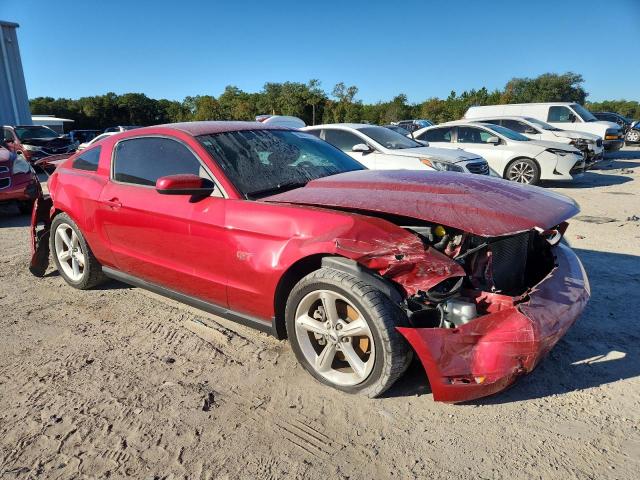 2010 FORD MUSTANG GT - 1ZVBP8CH2A5104429