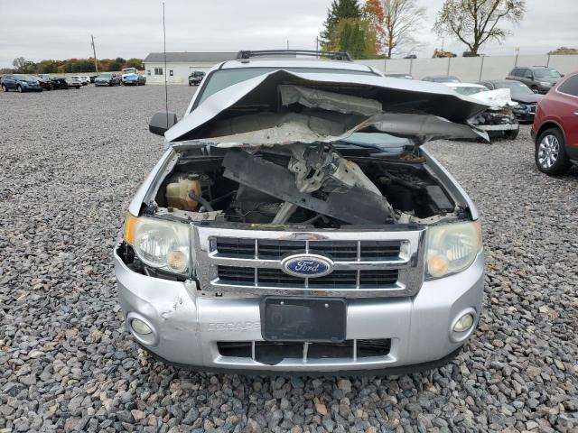 2010 FORD ESCAPE XLT - 1FMCU9DG9AKB95708