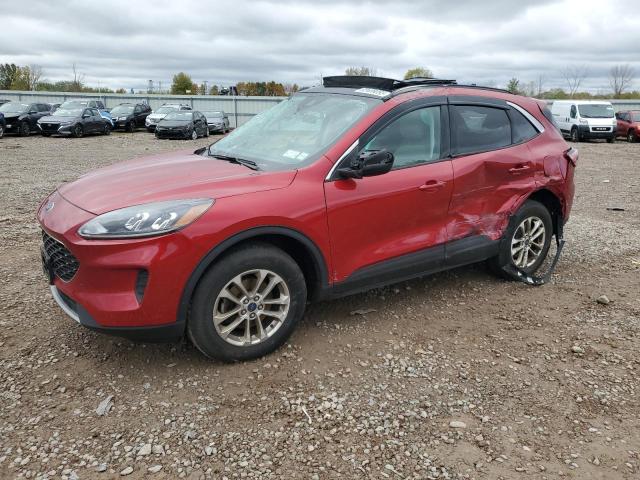 2022 FORD ESCAPE SE #3303725428