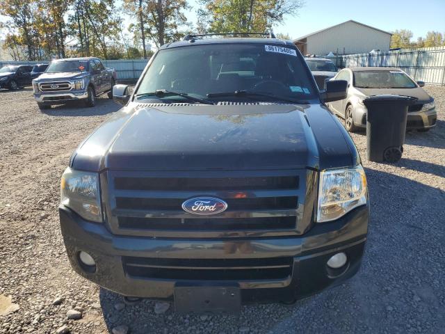 2010 FORD EXPEDITION - 1FMJU2A55AEB65377