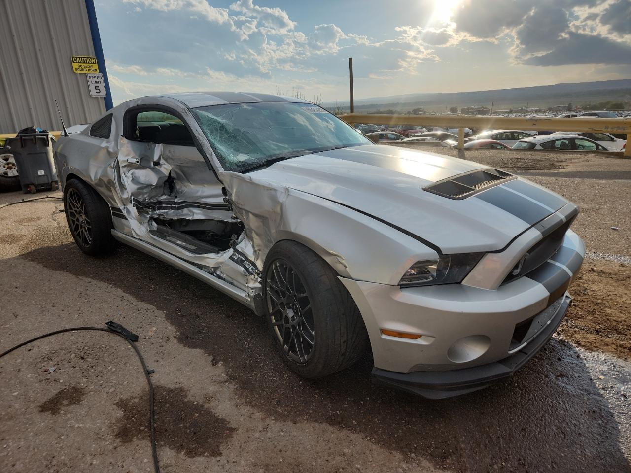 FORD MUSTANG SHELBY GT500