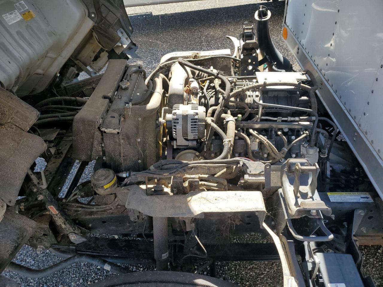 Lot #3270031367 2022 ISUZU NQR