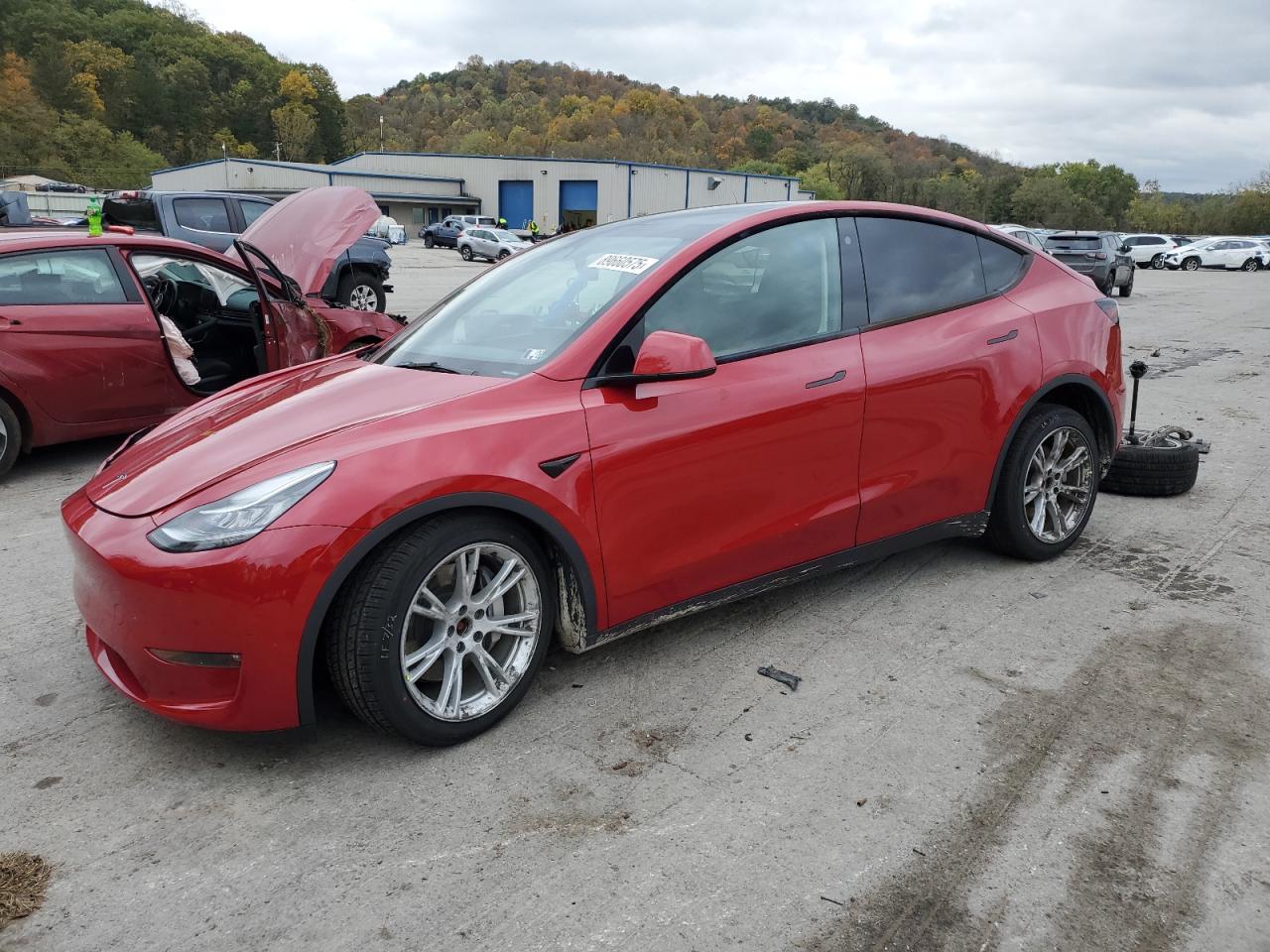 TESLA MODEL Y