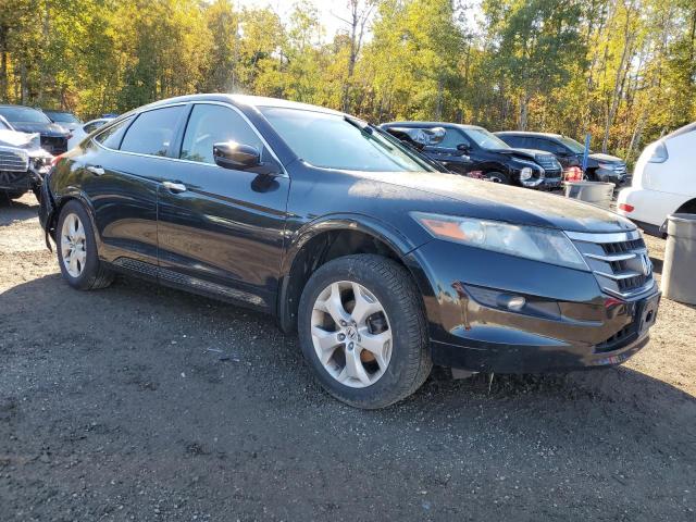 2010 HONDA ACCORD CRO - 5J6TF2H51AL800968