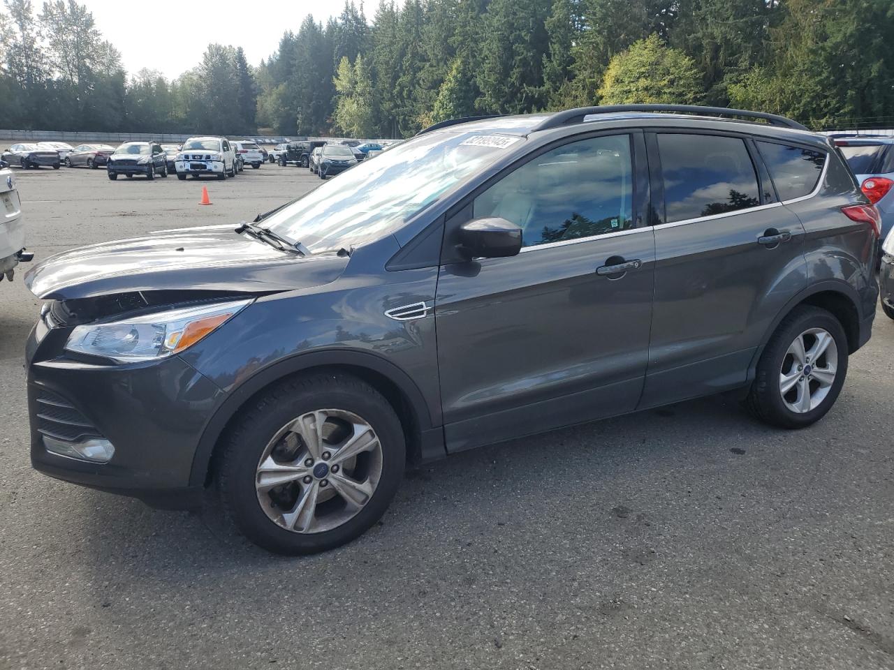 Lot #3279827309 2015 FORD ESCAPE SE