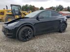 Lot #3296228434 2023 TESLA MODEL Y