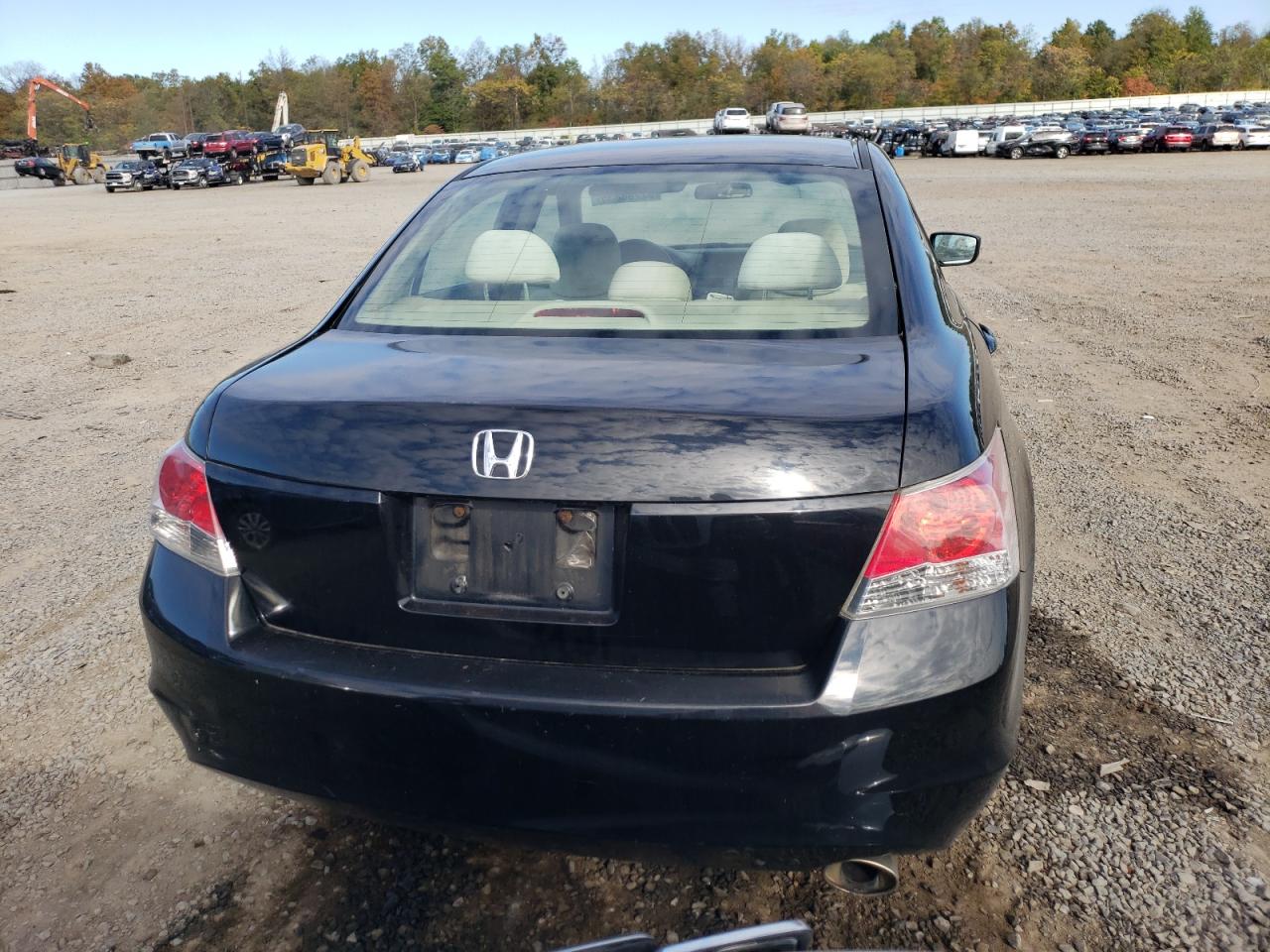 Lot #3317758068 2010 HONDA ACCORD LXP
