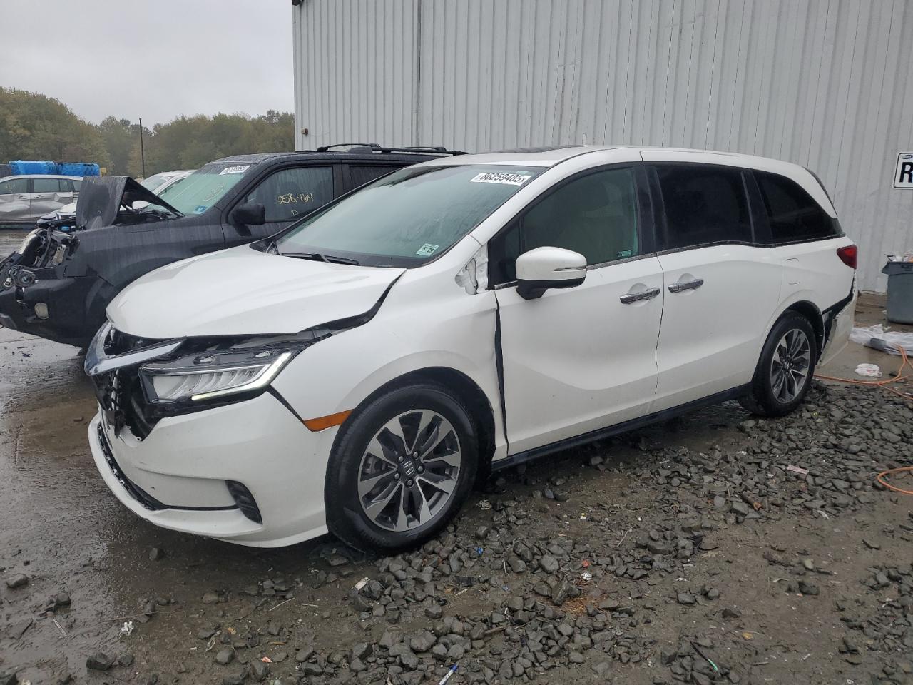 Lot #3291407138 2024 HONDA ODYSSEY EX