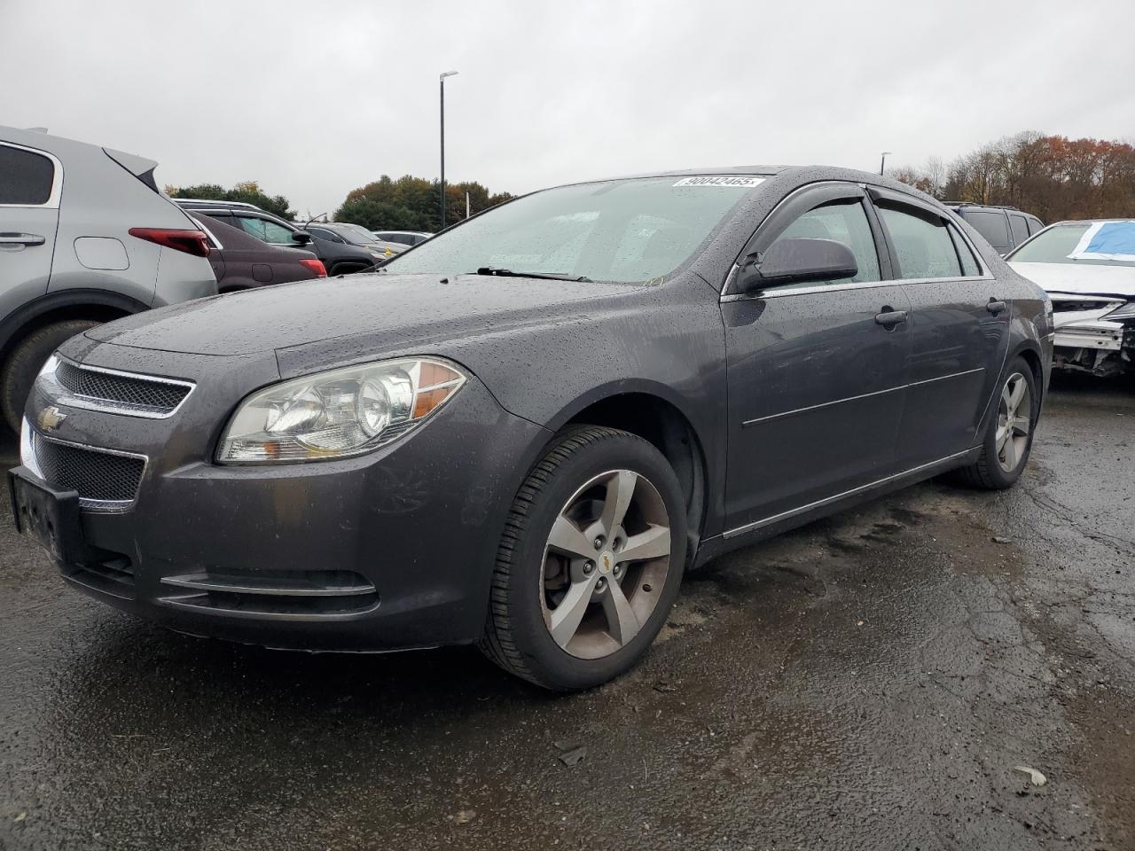 CHEVROLET MALIBU 1LT