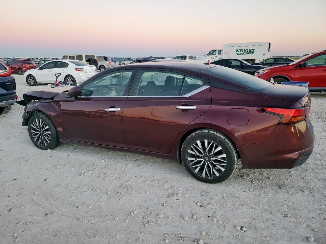 Lot #3309808347 2023 NISSAN ALTIMA SV