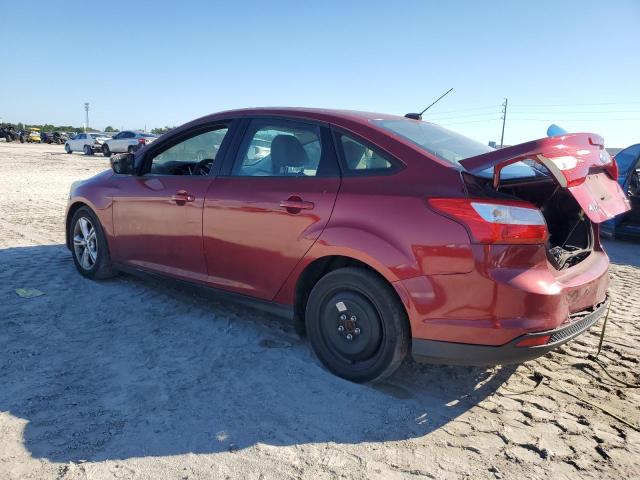 2014 FORD FOCUS SE - 1FADP3F2XEL179893
