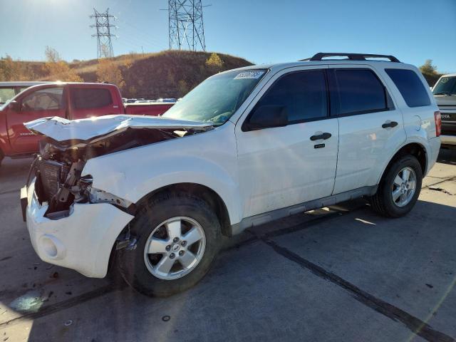 Global Auto Auctions: 2009 FORD ESCAPE XLT