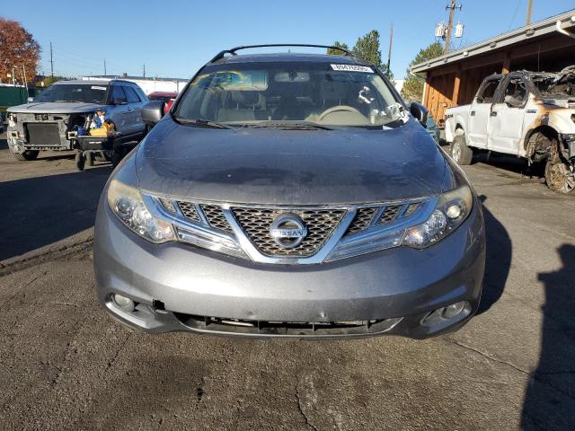 2013 NISSAN MURANO S - JN8AZ1MW8DW314324