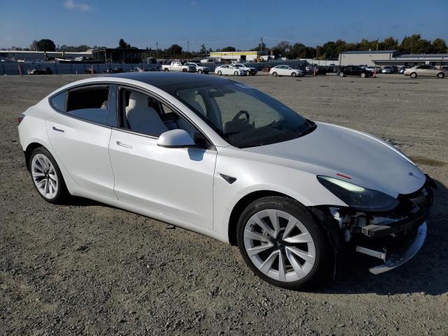 2023 TESLA MODEL 3 #3296493635