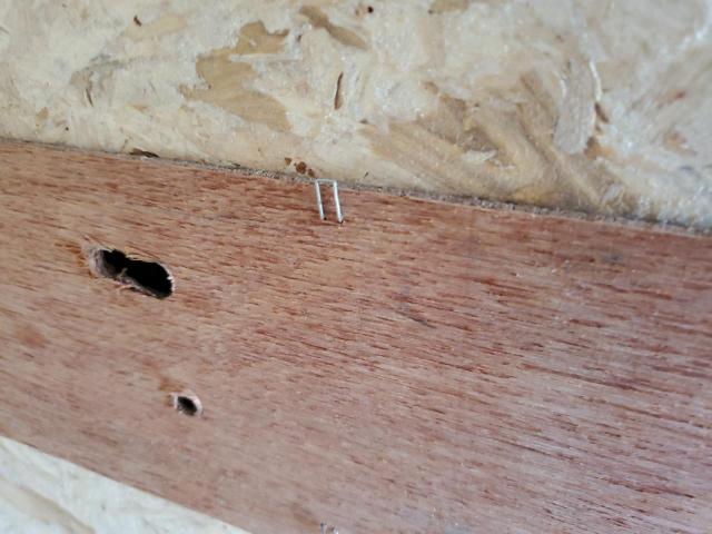 2025 AMERICAN HAULER UNKNOWN #3270771845