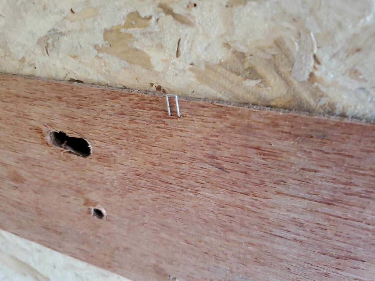 Lot #3270771845 2025 AMERICAN HAULER UNKNOWN